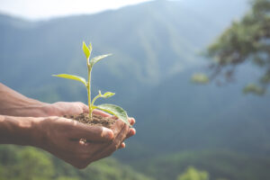 día mundial de protección de la naturaleza