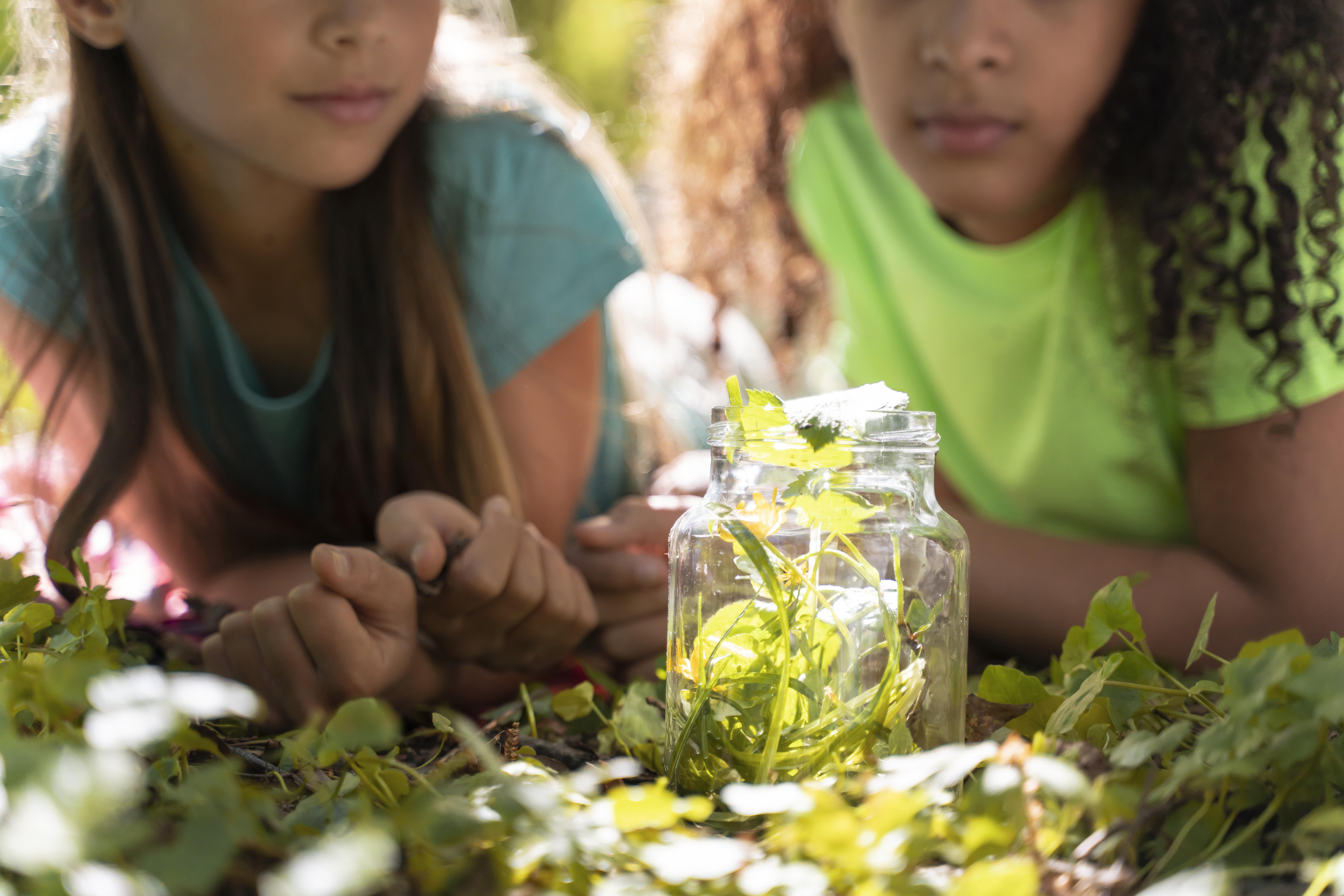 educación medioambiental colegios 2025