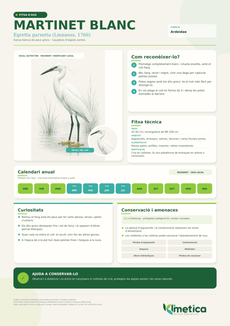 fitxa-martinet-blanc-klimetica