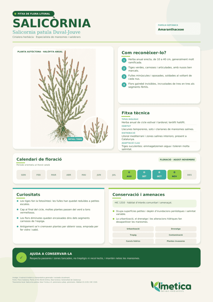 fitxa-salicornia-klimetica